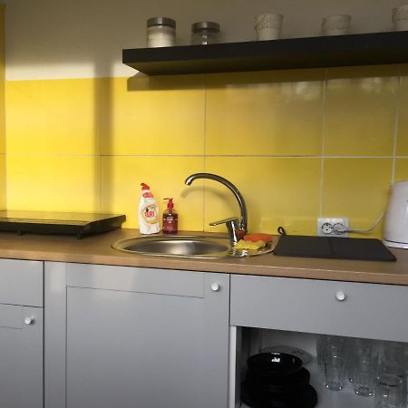 Apartamenti Zirnis Cēsis Dış mekan fotoğraf
