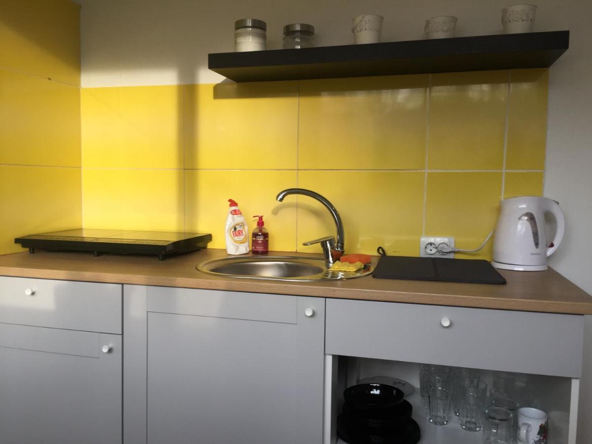 Apartamenti Zirnis Cēsis Dış mekan fotoğraf